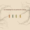 Colágeno Hidrolizado Marino Tipo Suplemento Raices Zen Nutrition Company 150