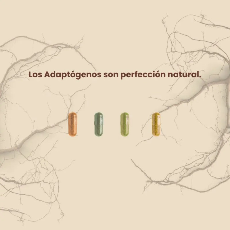Colágeno Hidrolizado Marino Tipo Suplemento Raices Zen Nutrition Company 150