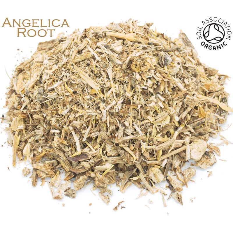 Organic Angelica Root Pure Herbal Infusion (25 Unbleached Tea Bags