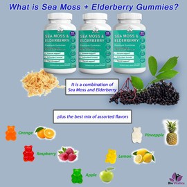 BIO VITALICA (3 Pack) Sea Moss Gummies Elderberry BioVitalica - Vitamin C D + Zinc - Irish Seamoss Vegan Gummy with Sea Moss Gel & Powder for Immunity, Detox & Energy - for Adults and Kids (3)