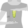 Omada Design 4 Glasses for Champagne, 6,89 fl oz Flute