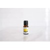 Essential Tumble & Tidy Essential Oil Blend by REVIVE Essential