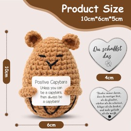 Glamifyr Pocket Hug Positive Capybara Things, Knitting Wool Cabybara Positive Gifts, Capybara Merch, Capybara Gifts, Lucky Charm, Get Well Soon Gifts for Girlfriend, Family, Boyfriend, Patient