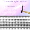 LZM Wimpern Extension Premade Fan, Stachelanime Fertige Wimpernfächer 0.05 Stärke