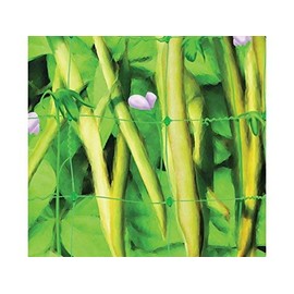 Apollo Gardening Ltd 52541 PEA & BEAN NET 4X2M