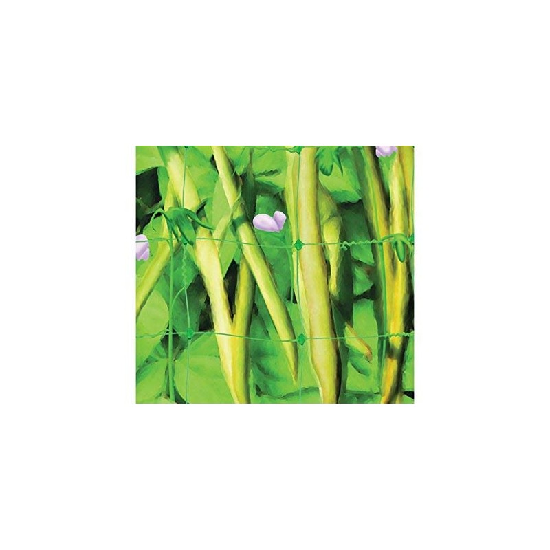 Apollo Gardening Ltd 52541 PEA & BEAN NET 4X2M