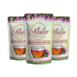 Burdock Root Tea Organic - 100% Alkaline - 15 Unbleached/Chemical-Free Burdock Root Tea Bags - Pack of 3 - Caffeine-Free, No GMO