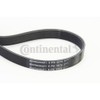 CONTITECH 6PK1075 V-Ribbed Belt