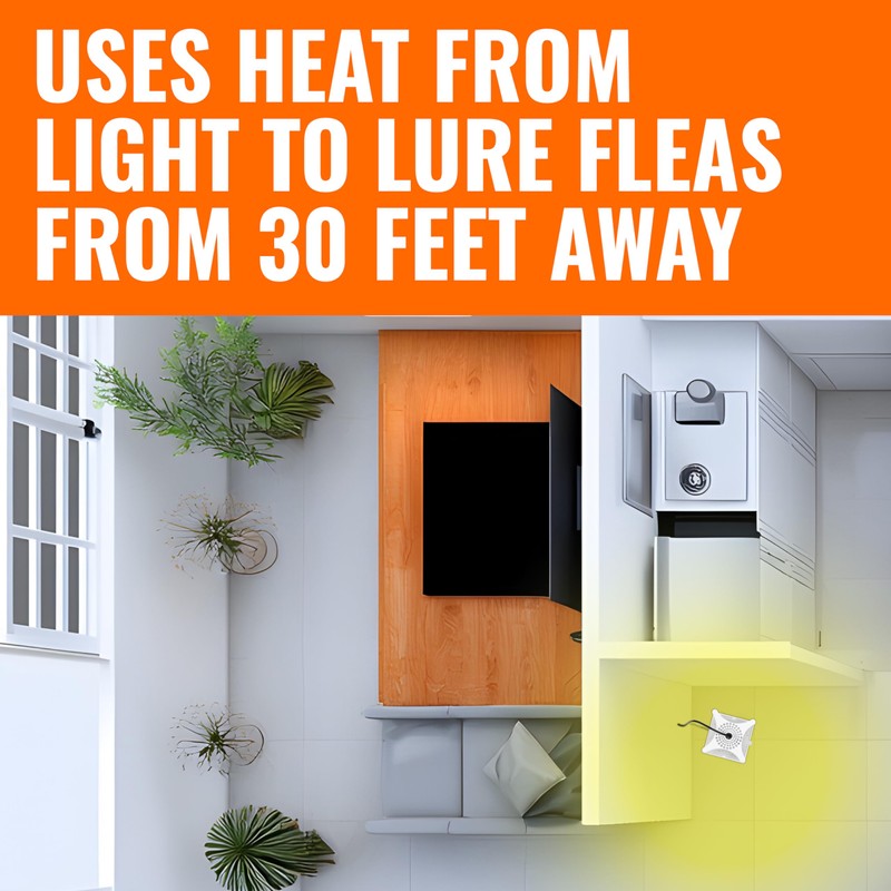 Terro T230 Indoor Electric Flea Trap and Killer - Refillable