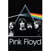 Aquarius Pink Floyd Dark Side Group Wall Poster NMR Aquarius NEW 000149833