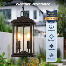 VIANIS 2-Light Large Outdoor Hanging Light Fixture, Exquisite Outdoor Pendant Lights, E12 Bulbs*2 for House, Porch, Doorway, Waterproof, Anti-Rust, 100% Aluminum, Oil Rubbed Bronze