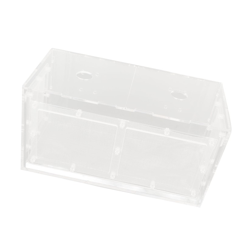 Fish Breeding Isolation Box Transparent Mesh Side Fish Tank Incubator