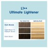 Schwarzkopf Nordic Blonde L1++ Ultimate Lightener