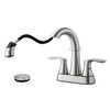 FROPO Bathroom Faucet with Pull Out Sprayer, 4 Inch 3