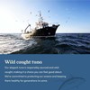 Van Camp's Seafood Solid Skipjack Tuna in Oil, 4-3 oz.