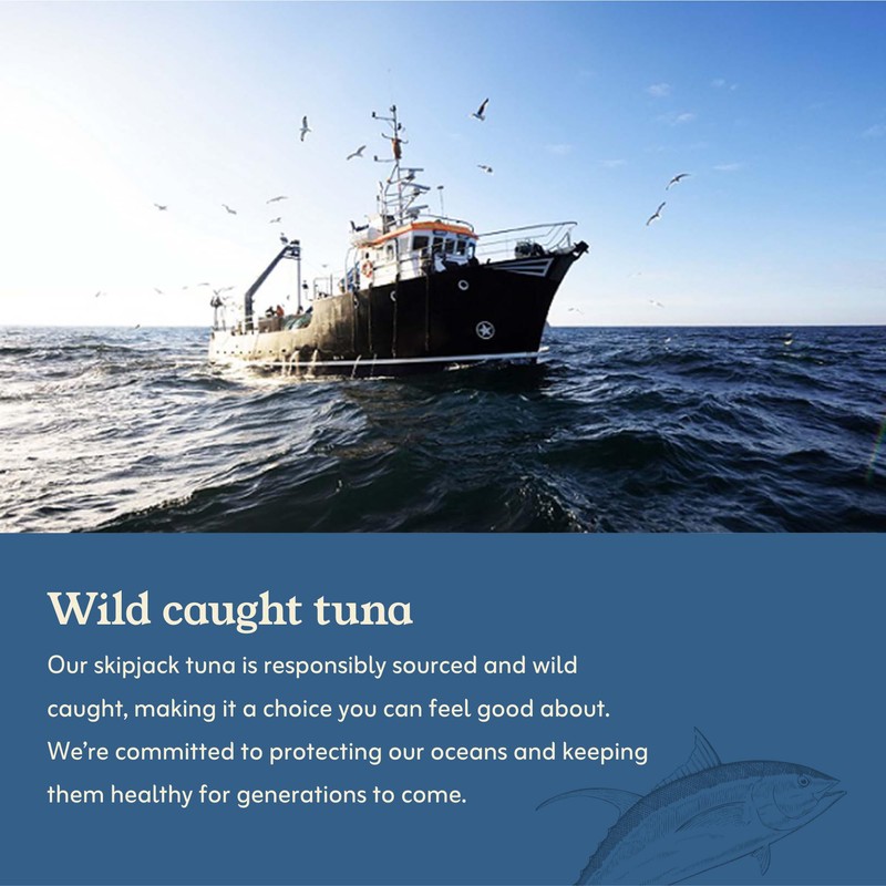 Van Camp's Seafood Solid Skipjack Tuna in Oil, 4-3 oz.