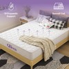 NapQueen NapQueen Twin-XL Mattress, 6 Inch Elsa Innerspring Medium Feel,