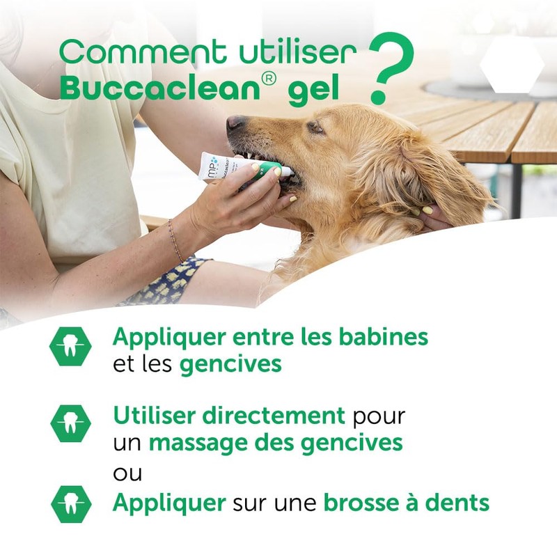 Buccaclean Dental Gel