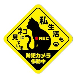 SignStore Cat Popping Alert Sticker, Approx. 5.7 x 5.7 inches (14.5 x 14.5 cm), Green, Vinyl, Made in Japan car_character_11 (C2)