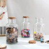 Magic Season Decorative Glass Bottles with Cork Stoppers (16.9 fl