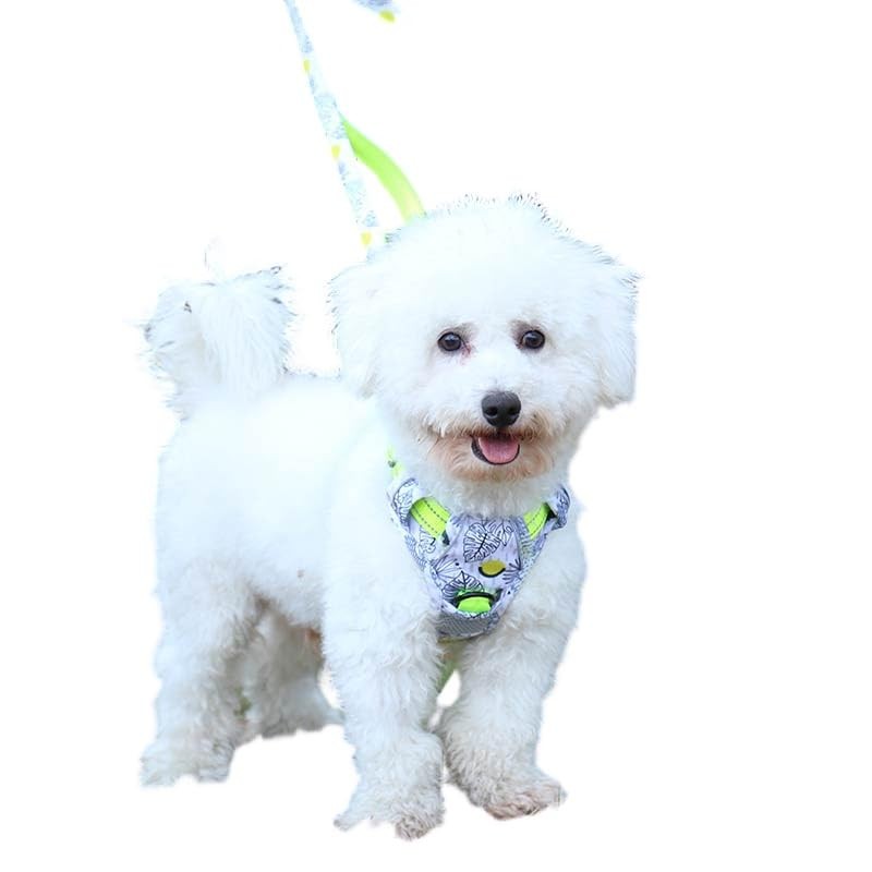Maychan No PULL Nature Walk Harness NO PULL HARNESS Dog