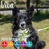 Ancol Viva Padded Soft Touch Weather Proof buckle collar in