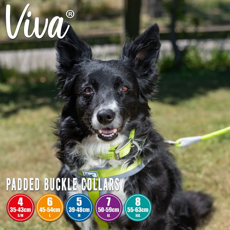 Ancol Viva Padded Soft Touch Weather Proof buckle collar in