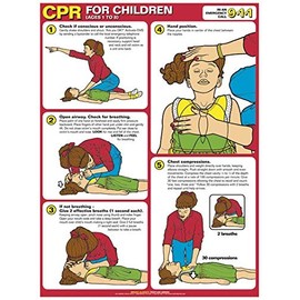 Algra Corporation CPR FOR CHILDREN UPDATED STANDARDS - 18" x 24" Laminated Poster
