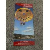 Parasailing MARINA DEL REY Tourist Guide Map Brochure Flyer California