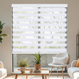 Allesin Zen Cordless Zebra Blinds for Windows,Free-Stop Roller Shades Dual Layer Home & Office,Blackout & Privacy for Day & Night,White, W34 xH72