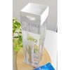 Purify Water with Natural Coral, Make Tap Water Super Famous