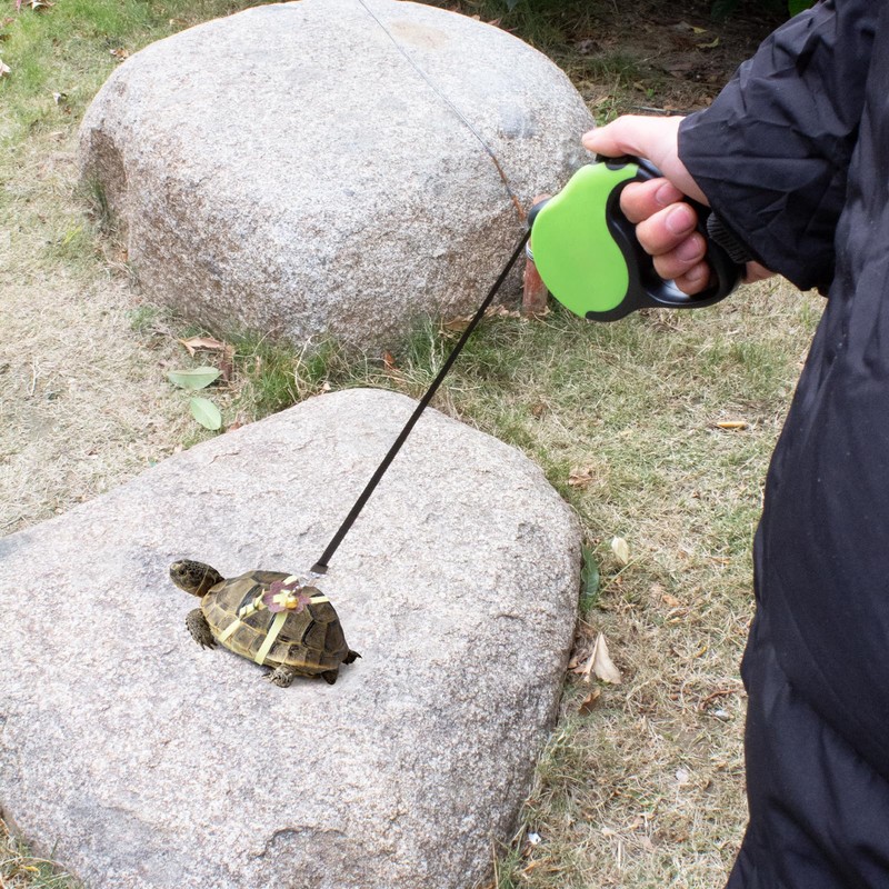 OOXYG Retractable Turtle Leash with Handle, Tortoise Leash and Harness