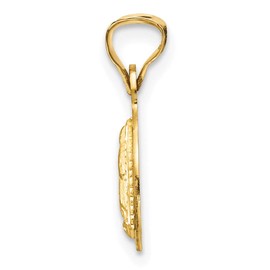 Saris and Things 14k Yellow Gold with Rhodium Solid Polished & Diamond Cut Lady of Guadalupe Circle Charm Pendant