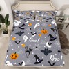 Spider Bat Bed Sheet Queen Set Pumpkin Lantern Sheets Sets