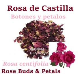 majcka4 Rosa de castilla Rosa de Castillo 12 oz Rose Buds petal Rosa centifolia 12 oz