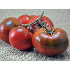 Southeast Seeds Paul Robeson Tomato, Rare Heirloom, NON-GMO, Beefsteak Type, Variety Sizes Sold - 60 Seeds