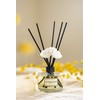 CULTURE & NATURE Reed Diffuser Set 6.7oz (200ml) Lemon Scented