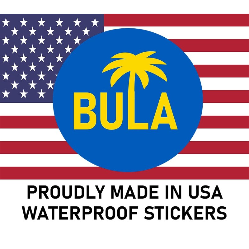 African American Flag | Black Flag Sticker | Afro America