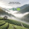 MatchAiA Premium Ceremonial Grade Organic Matcha Powder 60g