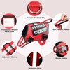 Service Dog Harness and Leash Set, Training Dog Vest with
