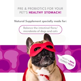 Biobiotics Digestive Support Supplement for Cats & Dogs - Chicken & Herb Flavor - 30 Sachets for Digestive Wellness