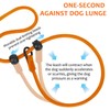 Slip Lead for Dogs, Dog Slip Collar Anti-Choking, Double Handle