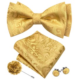 Barry.Wang Pretied Bow Ties for Men Paisley Bow Tie Pocket Square Cufflinks Lapel Pin Set Formal Light Gold Bowtie Party