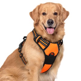 rabbitgoo Dog Harness Large Dog No Pull Pet Harness with 2 Leash Clips, Adjustable Soft Padded Pet Vest, Reflective No-Choke with Easy Control Handle for Training or Walking, Orange, XL