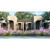 Muhly Grass | 30 Live Plants | Muhlenbergia Capillaris |