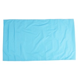 Sliding Draw Sheet Multifunctional Nylon Light Blue Patient Transfer Slide Sheet for Home and Hospital XL (150x75CM)