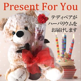 Florist Mann Preserved Flower Herbarium Respect for the Aged Day Birthday Christmas Present Bear Stuffed Animal Anniversary Girlfriend (Bare (Beige))