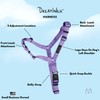 ShawnCo Dream Walk No-Pull Dog Harness- Adjustable, Comfortable, Easy to