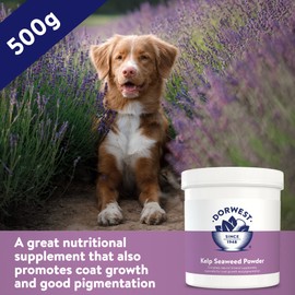 DORWEST HERBS Kelp Seaweed Powder 500g, Natural Powder for Dogs and Cats – Natural Mineral Supplement for Coat Growth and Pigmentation, Brown, (14DOR044), 500 g (Pack of 1)