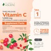 Purely Holistic Vitamin C 1000mg, 365 Capsules, 12 Month Supply,